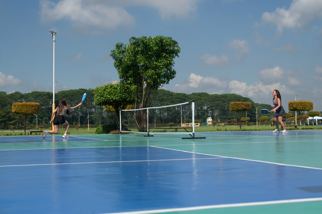 PICKLEBALL COURT